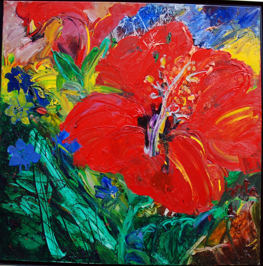hibiscus