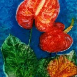 Anthurium